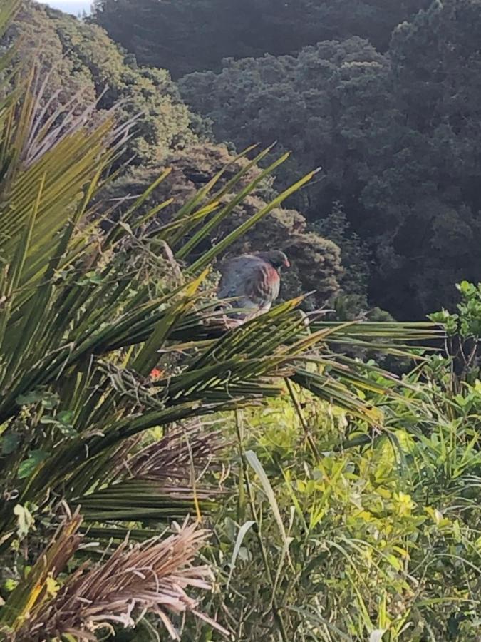 Muriwai Lodge Exterior foto